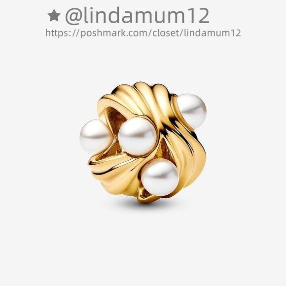 Pandora Abstract Waves Charm - Picture 1 of 6